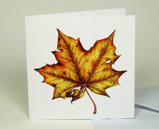 Autumn Maple Leaf Greeting Card