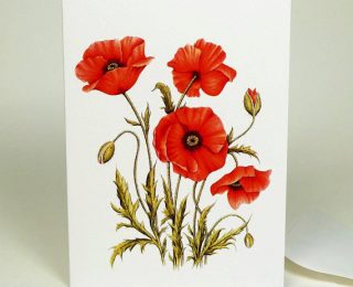 Poppy painting card