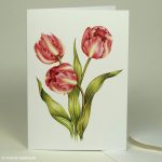 pink tulip greeting card