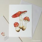 toadstool fly agaric card