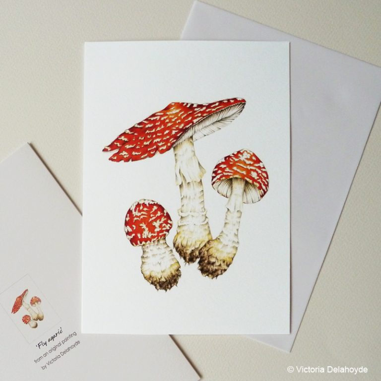 toadstool fly agaric card
