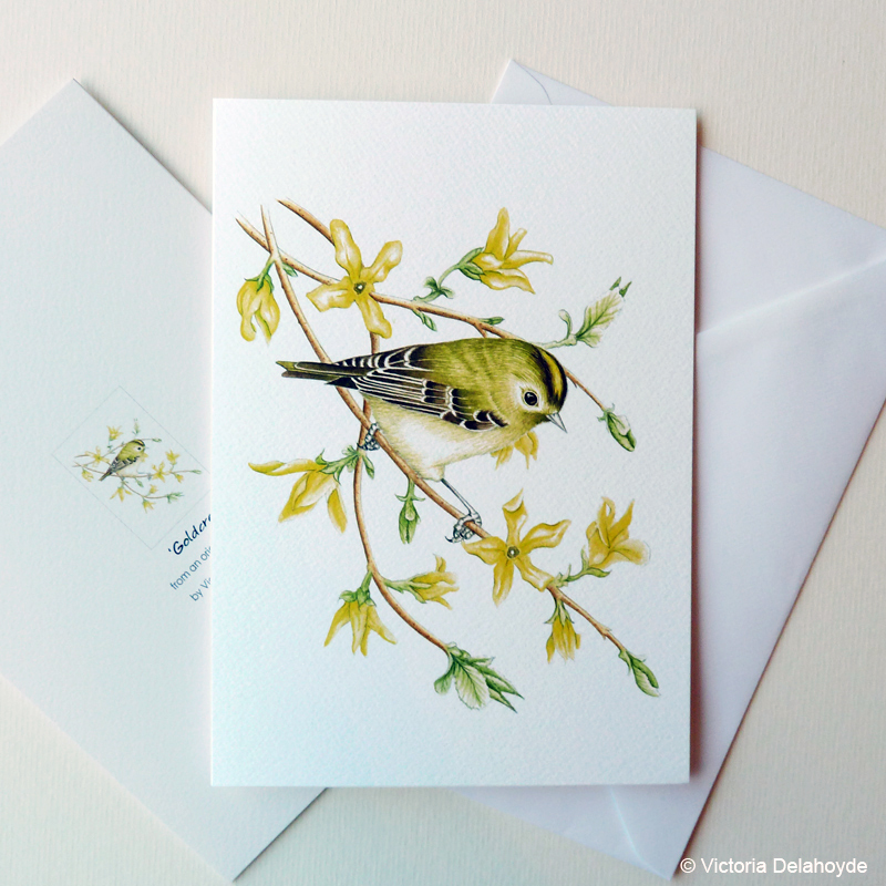 Quail Feather Greeting Card - Victoria Delahoyde